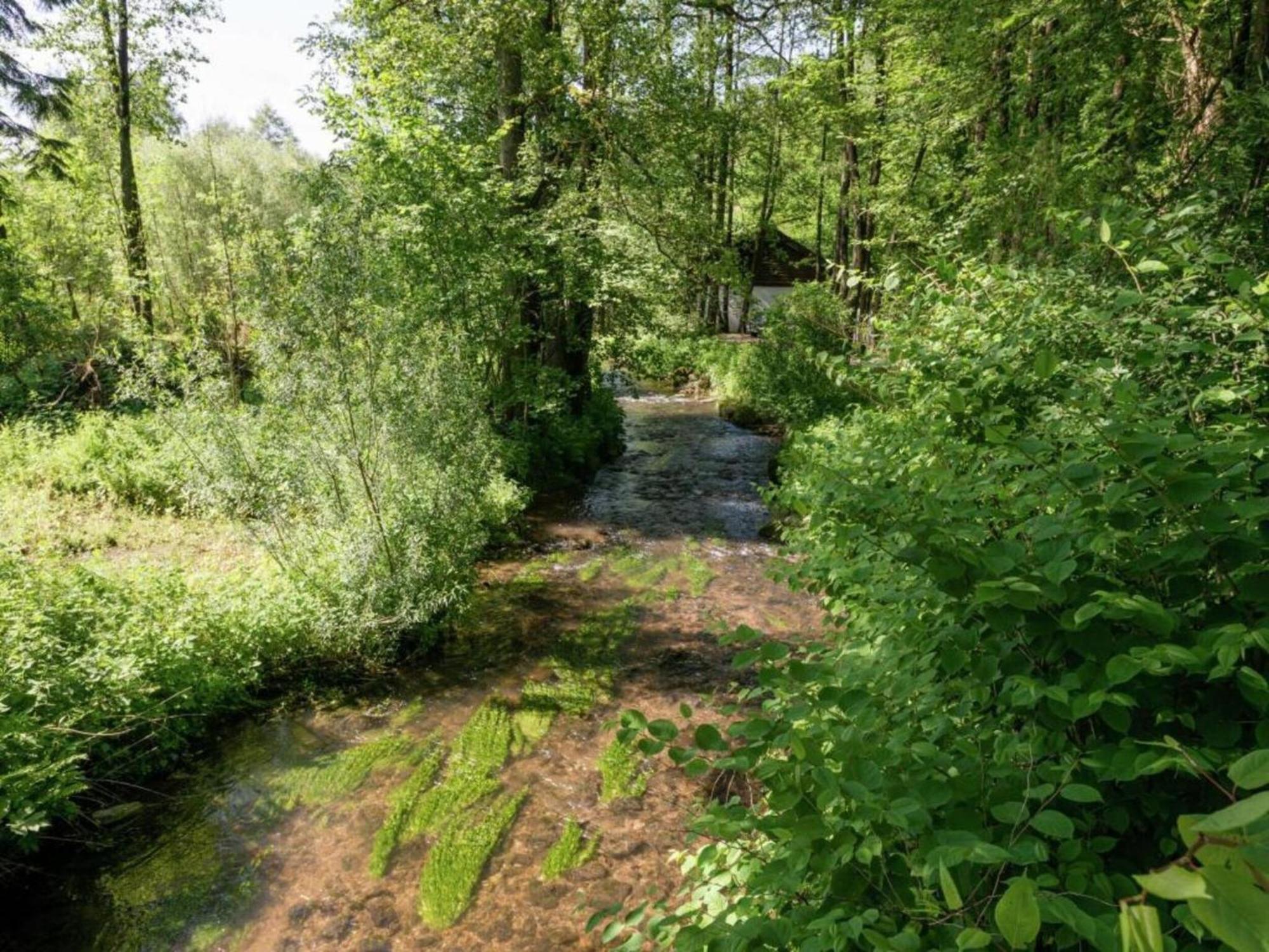 Cozy Cottage In Malmedy With Large Garden Buitenkant foto